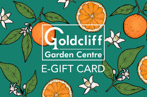 Citrus E-Gift Card - image 1
