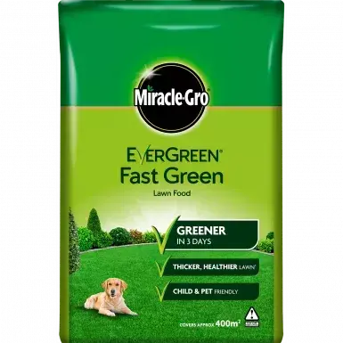 Evergreen Fast Green 400 sqm Bag