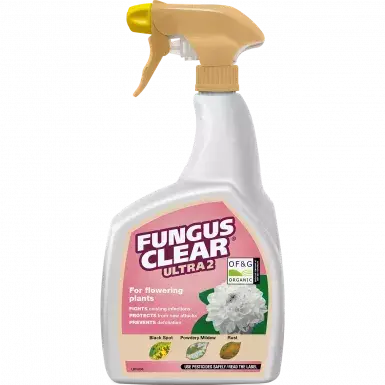 Fungus Clear 2 Rtu 800ml