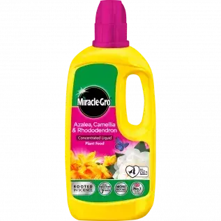Miracle-Gro Azalea, Camellia & Rhododendron Concentrated Liquid Plant Food 800ml