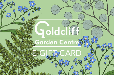 Woodland E-Gift Card - image 1