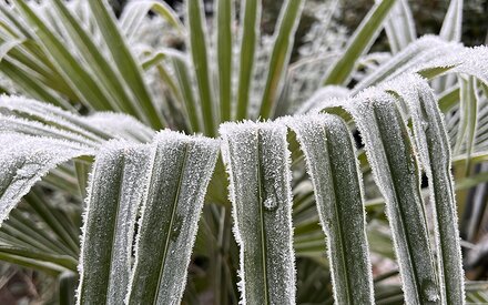 Cold Weather Warning