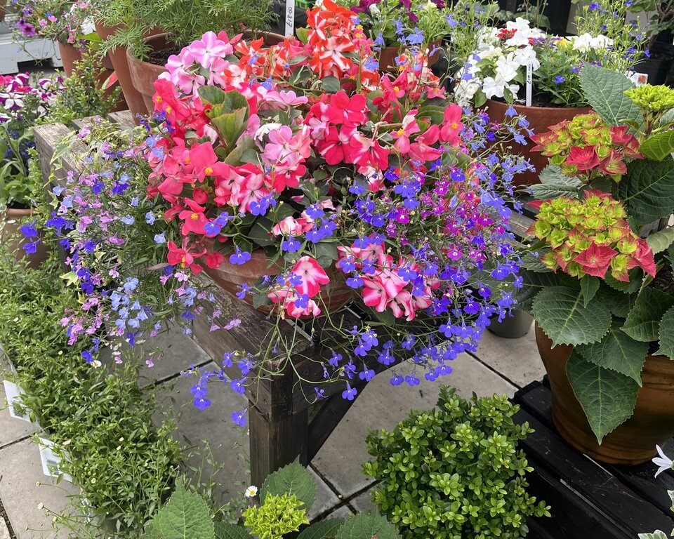 Father's Day Made Easy