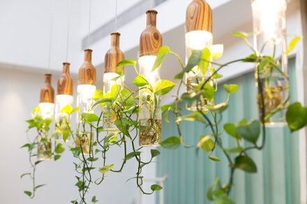 Home trends: hanging plants & lights