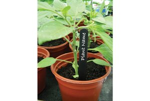 13cm (5") Black Plant Labels (25)