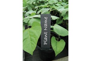 13cm (5") Slate Plant Labels (5)