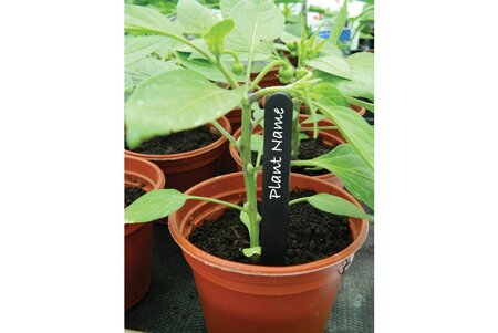 15cm (6") Black Plant Labels (25)