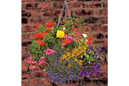 3-4 Arm Hanging Basket Replacement Chain