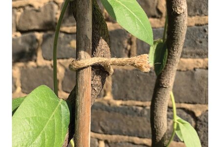 5m Natural Jute Twist Tie