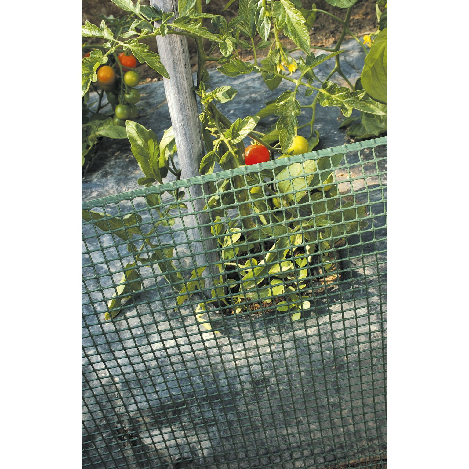 All Purpose Garden Mesh 0.5 x 6M Goldcliff Garden Centre