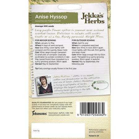 Jekka's Herbs ANISE Hyssop - image 2