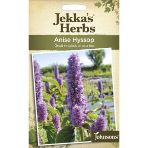 Jekka's Herbs ANISE Hyssop - image 1
