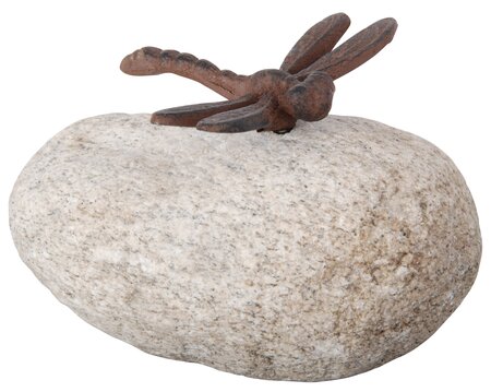 Assorted Animal on a Stone - image 2