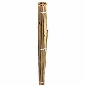 Bamboo Canes 120cm Pack of 20