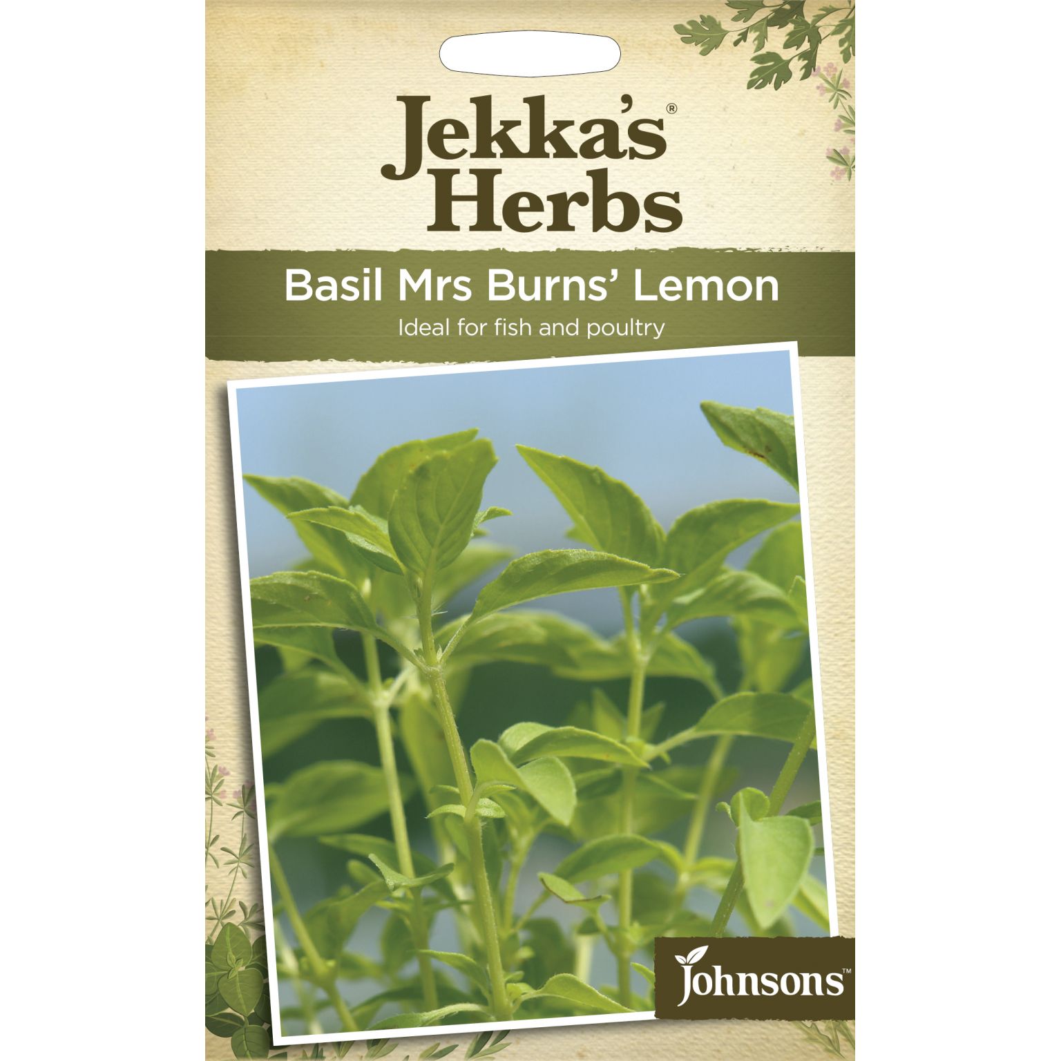 Jekka's Herbs BASIL Mrs Burns' Lemon Goldcliff Garden Centre