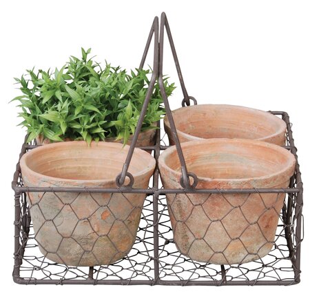 Basket with 4 Aged Terracotta Pots