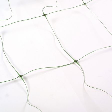 Bean and Pea Netting 4 m x 2m - image 1