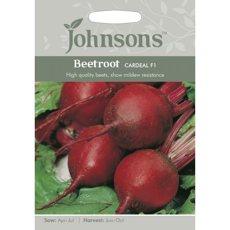 BEETROOT Cardeal F1 - image 1