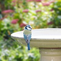 Bird Baths