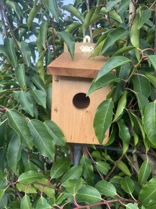 Bird Box - Opening Roof