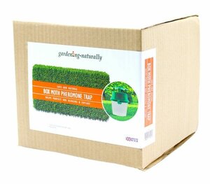 Box Moth Trap