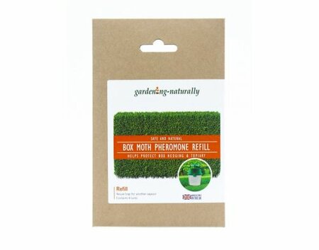 Box Moth Trap Refill