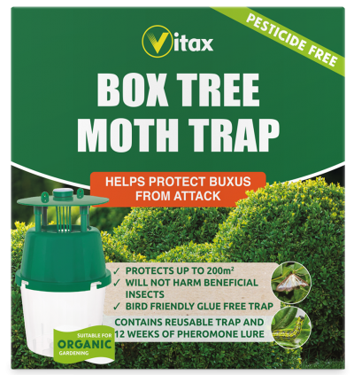 Box Tree Moth Trap Refill Vitax