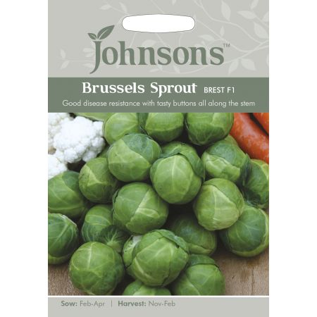 BRUSSELS SPROUT Brest F1 - image 1