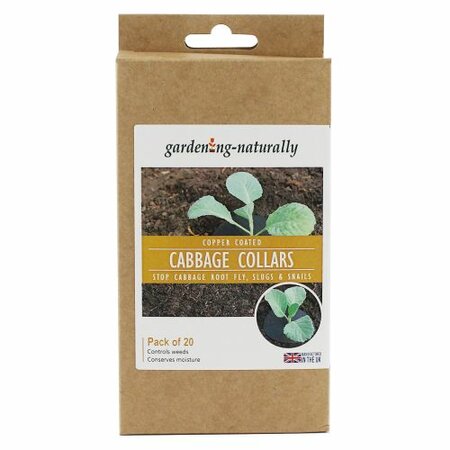 Cabbage Collars Pack of 20.