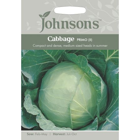 CABBAGE Primo (II) - image 1