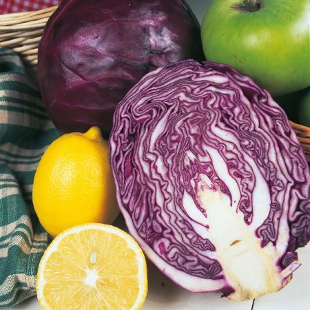 Cabbage Red Drumhead Seeds