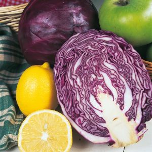 Cabbage Red Drumhead Seeds