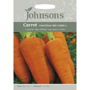 CARROT Chantenay Red Cored 2 - image 1