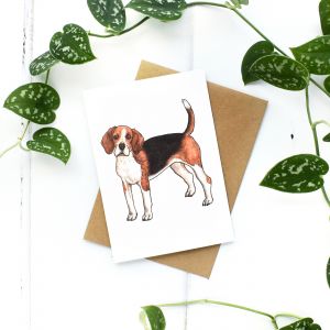 Charlotte's Card Beagle