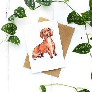 Charlotte's Card Dachshund