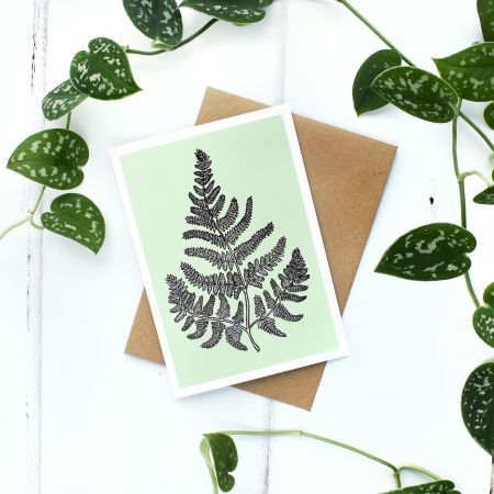 Charlotte's Card Fern