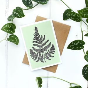 Charlotte's Card Fern