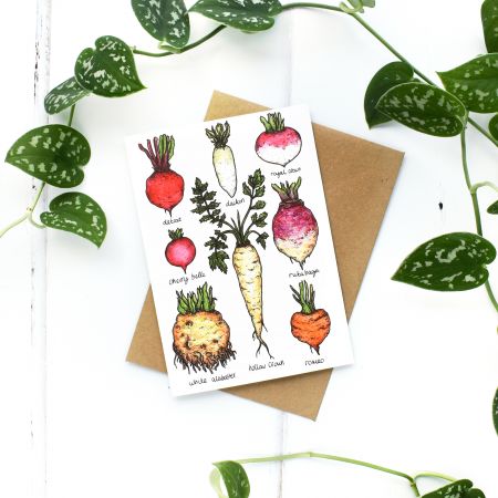 Charlotte's Card Root veg