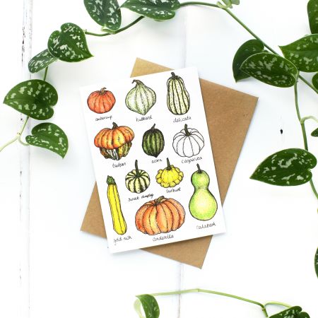 Charlotte's Card Squashes