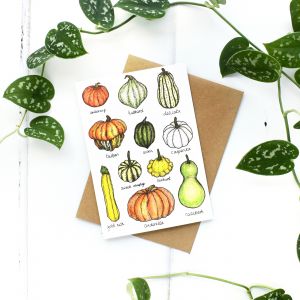 Charlotte's Card Squashes