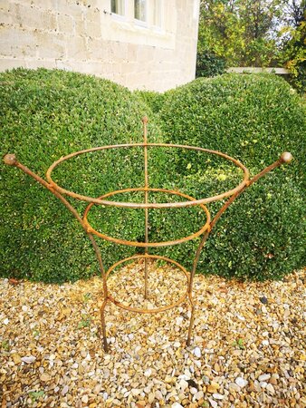 Chelsea Range Peony Large Rust