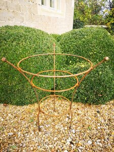 Chelsea Range Peony Large Rust