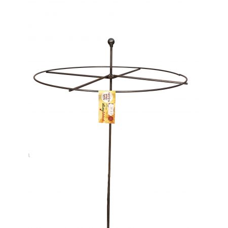 Circle ready to rust Plant Support