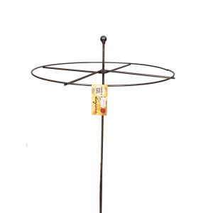 Circle ready to rust Plant Support