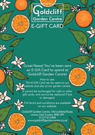 Citrus E-Gift Card - image 2