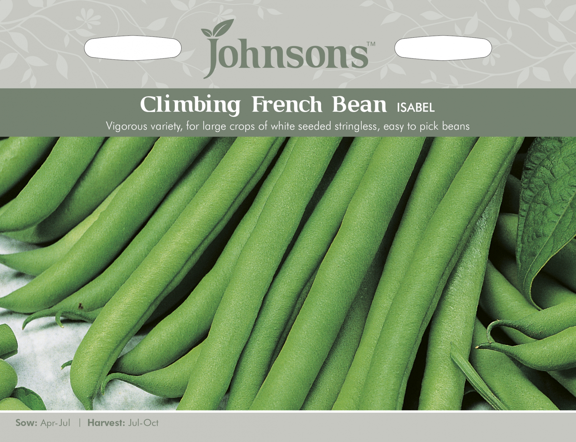 CLIMBING FRENCH BEAN Isabel Seeds Goldcliff Garden Centre
