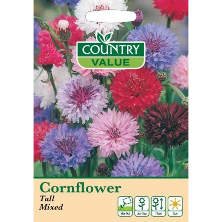 Cornflower Tall Mixed