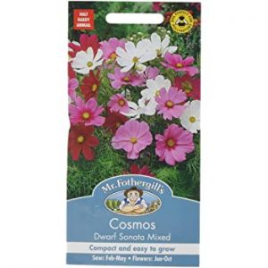 Cosmos Dwarf Sensation Mixed Seeds