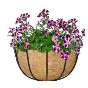 Cotswold Half Basket with Coco Liner 22" Black