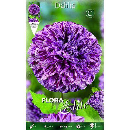 Dahlia Ball Marble Ball